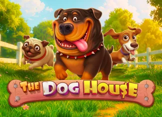 The Dog House Bahis Stratejisi ve Bankroll Yönetimi